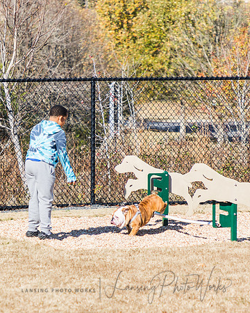 DogPark2023-106
