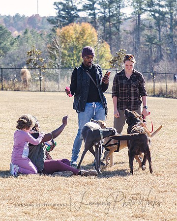 DogPark2023-121