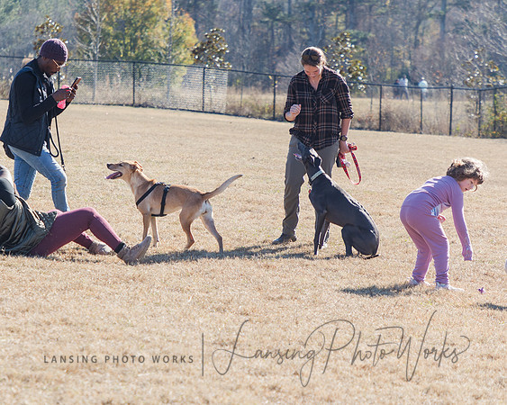 DogPark2023-125