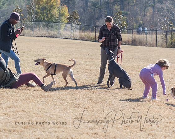 DogPark2023-126