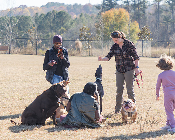 DogPark2023-138