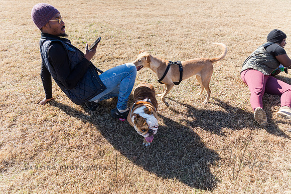 DogPark2023-145