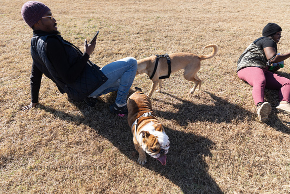 DogPark2023-146