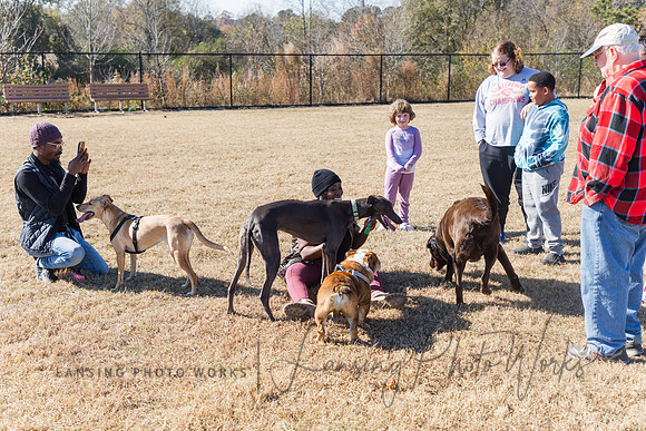 DogPark2023-148