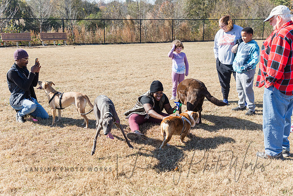 DogPark2023-150