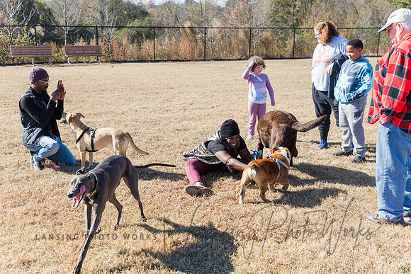 DogPark2023-151