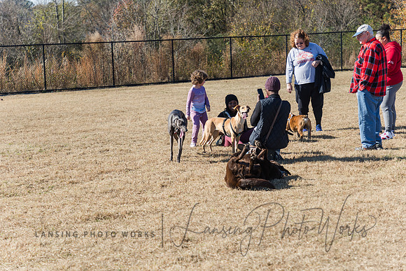 DogPark2023-152