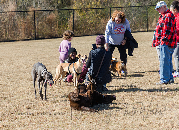 DogPark2023-153