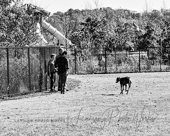 DogPark2023-160