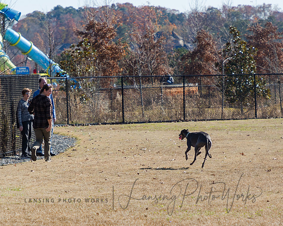 DogPark2023-159