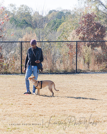 DogPark2023-162