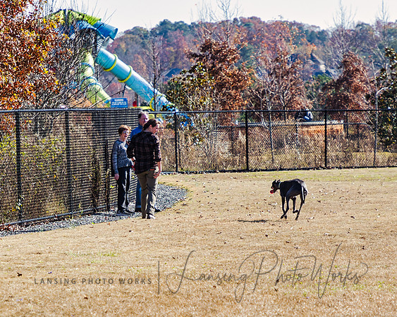 DogPark2023-161