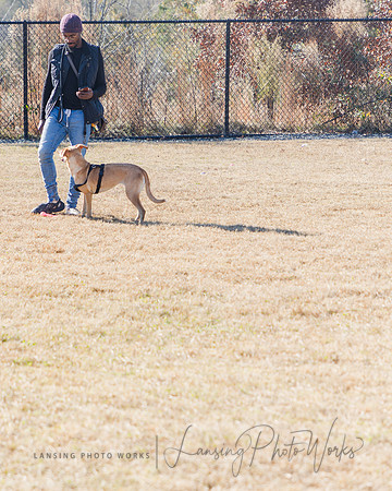DogPark2023-163