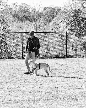 DogPark2023-164
