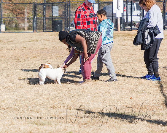 DogPark2023-178