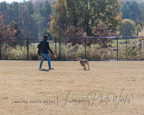 DogPark2023-181