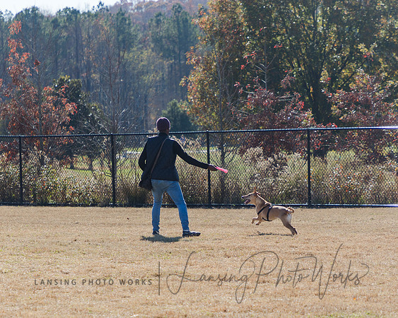 DogPark2023-182