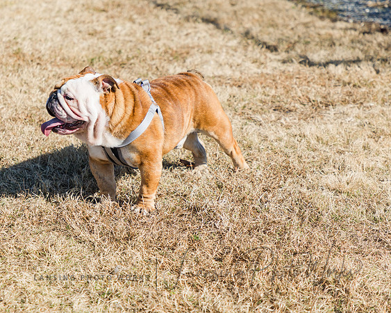 DogPark2023-191