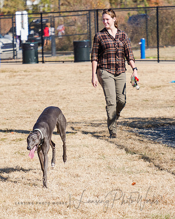 DogPark2023-195
