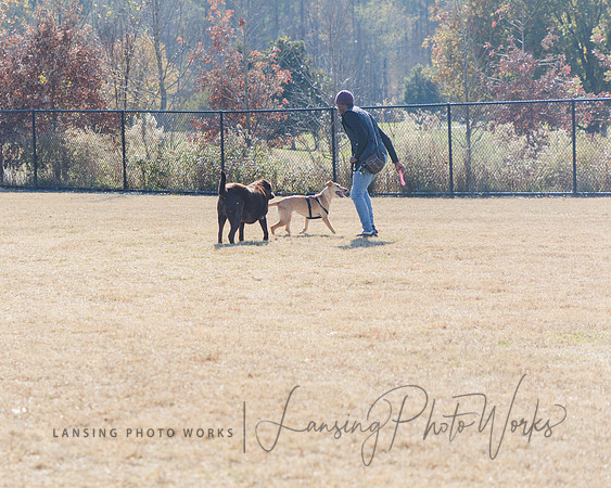 DogPark2023-214