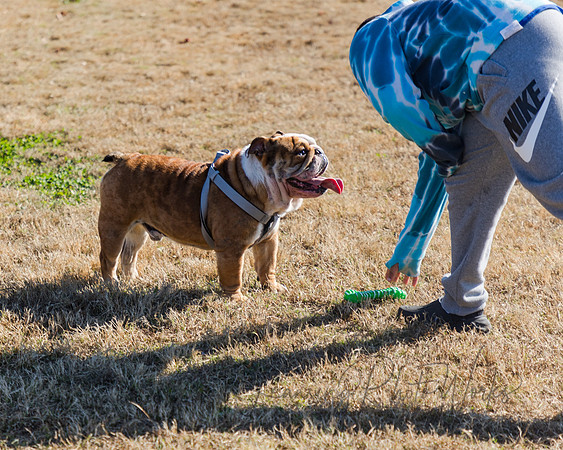DogPark2023-218