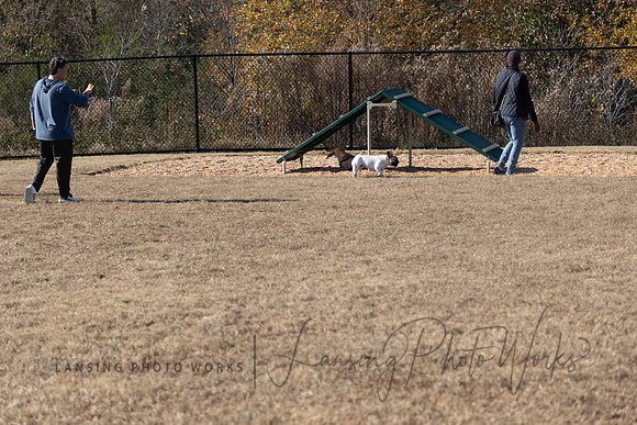 DogPark2023-223