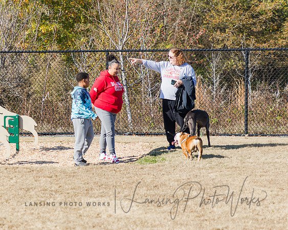 DogPark2023-234