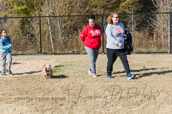 DogPark2023-244