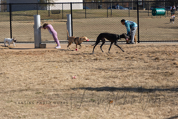 DogPark2023-246