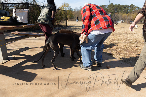 DogPark2023-250