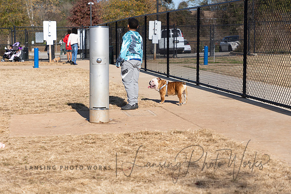 DogPark2023-251