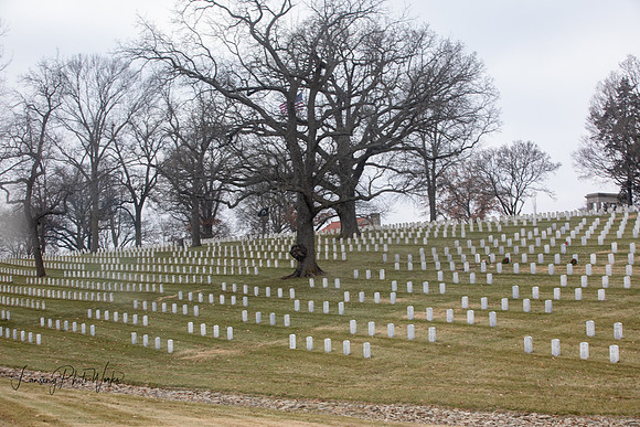 Wreath 2019-286