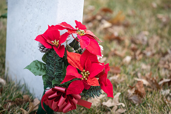 Wreath 2019-301