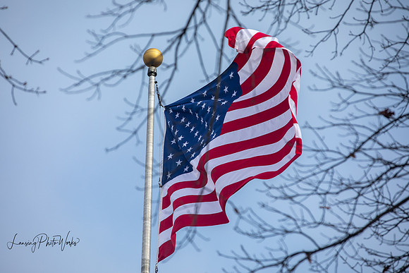 Wreath 2019-409