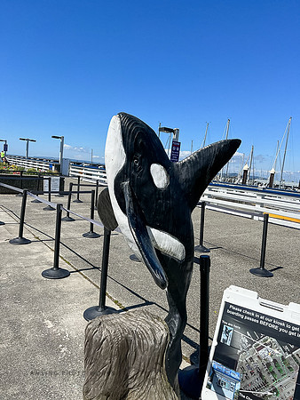 SeattleD-36