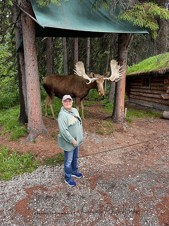 Alaska 2024-12