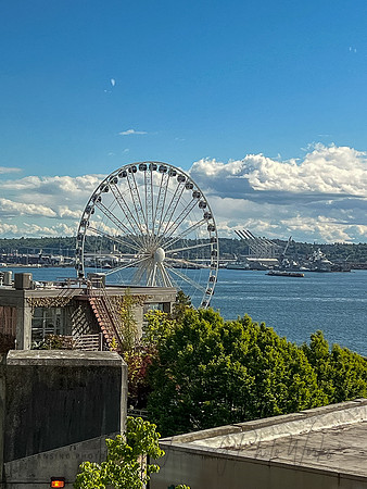SeattleD-13