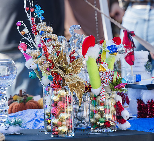 Fall Festival 2024-50