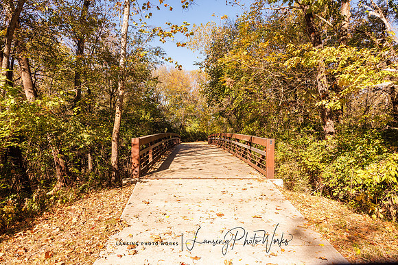 Angel Falls Trail-6