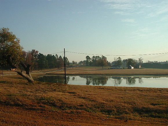nc3-9