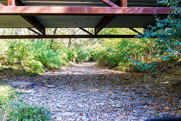 Angel Falls Trail-14