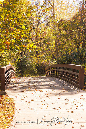 Angel Falls Trail-5