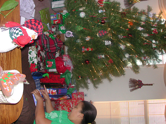 xmas1-17