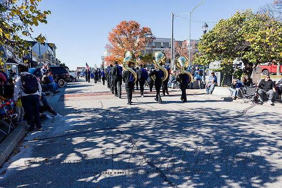 VeteransParade-411