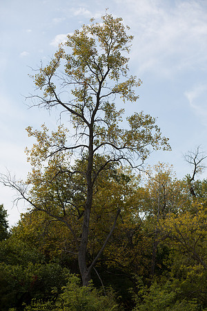 IMGL0169-167