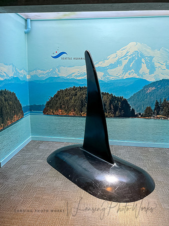 SeattleD-250