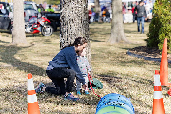 Fall Festival 2024-25