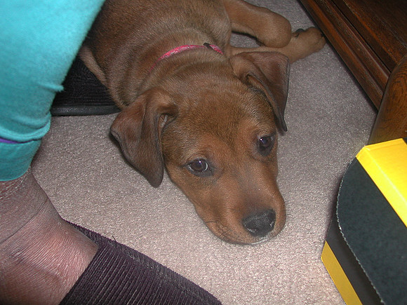xmas1-38
