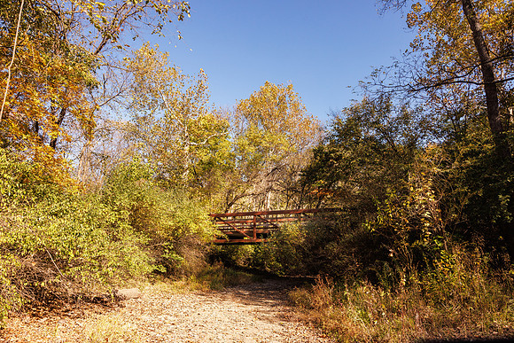 Angal Fall 2024-9