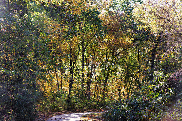 Angel Falls Trail-21